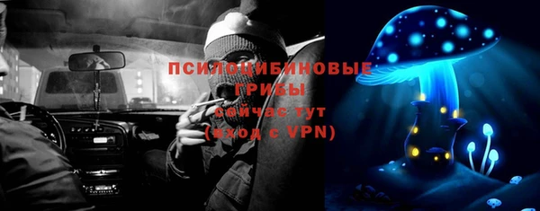 СК Алексеевка