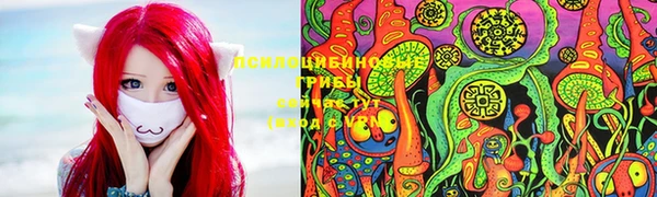 СК Алексеевка