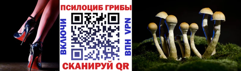 ссылка на мегу ссылка  Кропоткин  Галлюциногенные грибы Psilocybine cubensis 